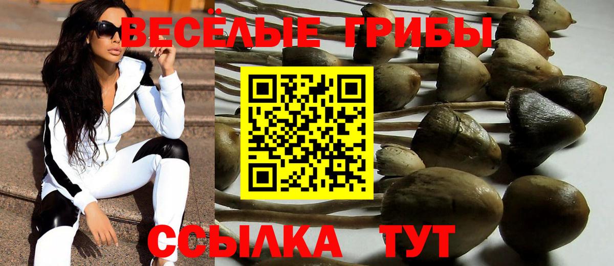 Псилоцибиновые грибы прущие грибы Кириши